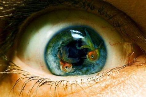 Fisheye Photography, Figurative Kunst, Eye Pictures, Avatar Movie, The Reflection, Eye Photography, Eye Art, An Eye, Goldfish