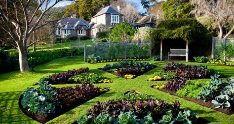 beautiful veg garden Plantarea Legumelor, Vegetable Garden Planner, Potager Garden, Vegetable Gardens, Garden Planner, Garden Types, Veg Garden, Home Vegetable Garden, Have Inspiration