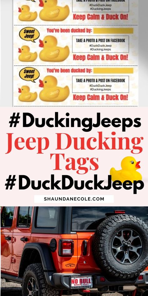 Girl Jeep Wrangler, Crafts For Adults Diy Projects, Duck Duck Jeep Tags, Wrangler Aesthetic, Useful Diy Crafts, At Home Brunch, Wall Art Preschool, Wallpaper Photoshoot, Jeep Ducks