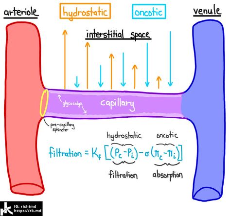 Osmotic Pressure, Respiratory Therapy, Map