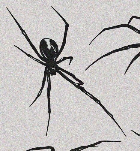 Black Widow Black And White, Black Spider Tattoo, Widow Spider Tattoo, Black Widow Spider Tattoo, Widow Tattoo, Swag Tattoo, Brand Tattoo, Black Widow Tattoo, Spider Tattoo