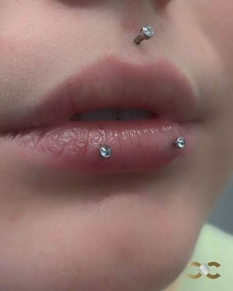 Double Ashley Piercing for our super cool client!  Find Ireland's largest collection of Fine Jewellery in-store at 7 D'Olier Street or online at our webstore, link in bio! Double Ashley Piercing Lip, Double Ashley Piercing, Lip Piercing Ashley, Ashley Lip Piercing, Curated Ears, Ashley Piercing, Lip Piercings, Double Piercing, Face Piercings