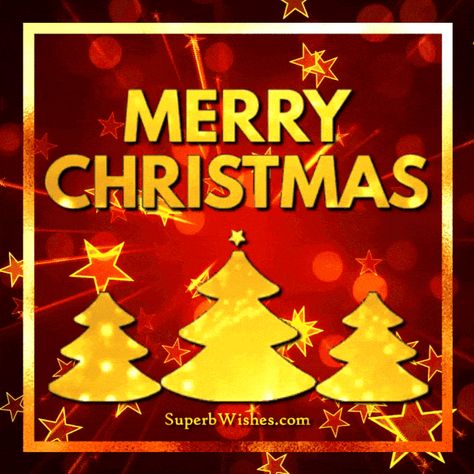 Christmas Animated Gif, Christmas Tree Gif, Happy Birthday Grandpa, Happy Birthday Grandson, Animated Christmas Tree, Happy Birthday Aunt, Merry Christmas Animation, Happy Birthday Nephew, Happy Birthday Cousin