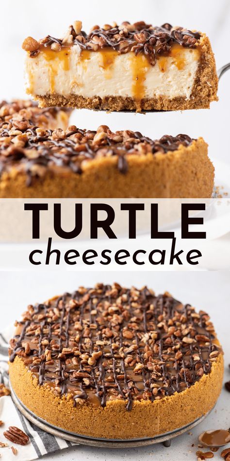 Even if you’ve never baked before, you will become a turtle cheesecake pro when you follow my easy step-by-step recipe and learn my tips for baking a cheesecake in a water bath. Your friends and family will RAVE about this turtle cheesecake recipe! Cheesecake Recipes Turtle, Turtle Cheesecake Recipe Easy, Easy Turtle Cheesecake, Plain Cheesecake Recipe, No Bake Turtle Cheesecake, Chocolate Turtle Cheesecake, Ultimate Turtle Cheesecake Recipe, Turtle Cheesecake Recipe, Turtle Dessert