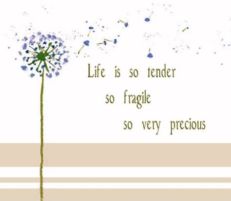 Life Is Fragile And So Precious Life Is Fragile Quotes, Fragile Quotes, Life Is Fragile, Precious Quotes, Prayer Chain, Quotes Inspirational Positive, Beating Heart, Frame Of Mind, Facebook Image