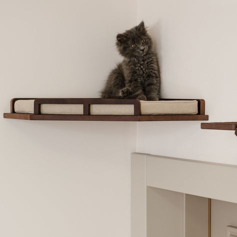 Cat Wall Bed, Shelf For Wall, Cat Corner, Cat Shelf, Cat Wall Shelves, Modern Cat Furniture, Cat Wall Furniture, Cork Wood, Cat Steps