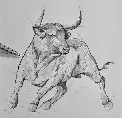 Sketch. Insta| @art_iusupov Bull Art Drawing, Bull Painting, Cow Drawing, Bull Art, Pencil Drawings Of Animals, Bull Tattoos, Animal Drawings Sketches, Pet Dragon, Animal Study