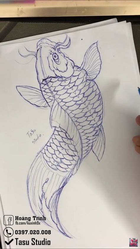 Motion Drawing, Pink Flower Tattoos, Koi Dragon Tattoo, Koi Tattoo Design, Koi Fish Drawing, Flower Tattoo Drawings, Egypt Tattoo, Feather Tattoo Design, Japan Tattoo Design