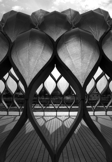 Bulge by Lucas Vasilko, via Behance Shape Photography, Architecture Art Nouveau, Geometric Architecture, Geometric Solids, Parametric Design, Black And White Photograph, Organic Architecture, Structure Architecture, Architectural Inspiration