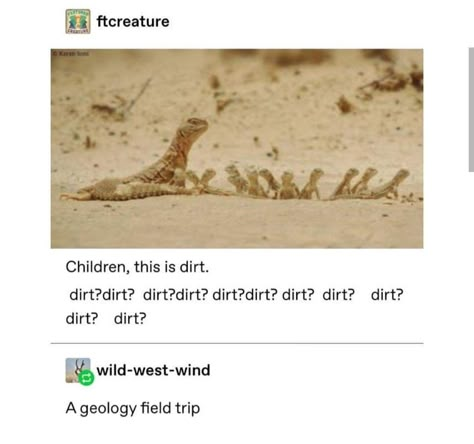 On The Ground, An Animal, Cute Little Animals, Animal Memes, Tumblr Funny, Tumblr Posts, Cute Funny Animals, Funny Posts