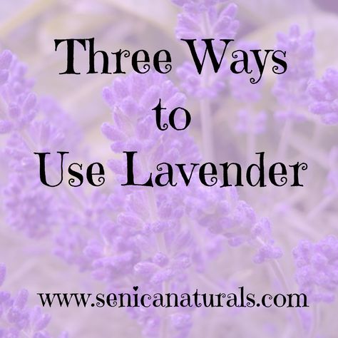 Love Lavender herbs? Here are a few ideas on how you can use it in your life. http://senicanaturals.com/three-ways-use-lavender/ #senica #lavender Lavender Herb, Natural Beauty Care, Natural Teeth Whitening, Lavender Buds, Lavender Essential Oil, Organic Beauty, Teeth Whitening, Beauty Care, Natural Makeup