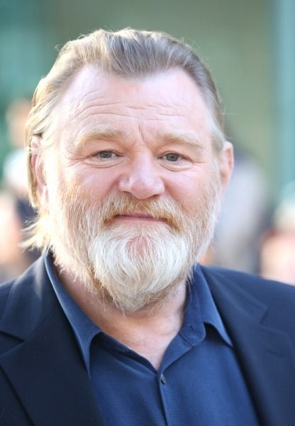 Brendan Gleeson, Movie Director