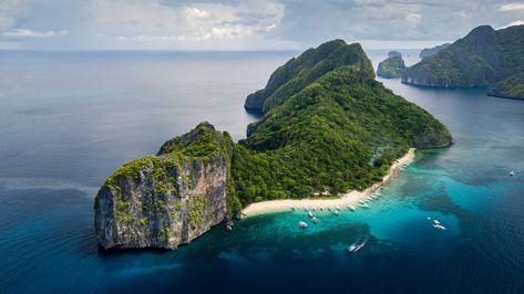 Discover Helicopter Island (also known as Dilumacad Island), a tourist spot located in El Nido, Palawan, and one of the highlights of the famous islands hopping tour C! Travel Route, Island Hopping, Palawan, Tourist Spots, Gecko, Snorkeling, Real People, Helicopter, Bing Images