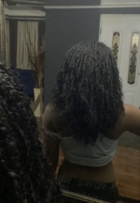 Tiny Spring Twist, Long Twists Natural Hair, Long Mini Twists With Extensions, Long Mini Twists, Long Twists, Twists Natural Hair, Black Hair 90s, Black Hair Tips, Latest Hair Braids