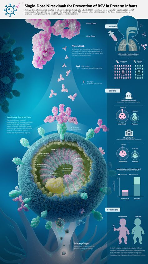 Antibody Illustration, Infographic Biology, Scientific Infographic, Health Poster Design, Infographic Science, Medicine Infographic, Biology Posters, Biotechnology Art, Scientific Poster Design