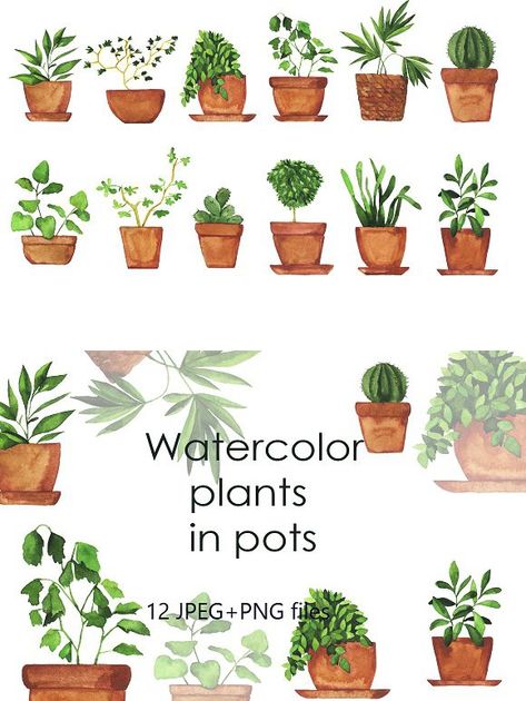 Watercolor pot plants Doodle Plants, Green House Plants, Terra Cotta Plant, Plants Watercolor, Cactus Collection, Plants In Pots, Pot Plants, Watercolor Plants, Bedroom Plants