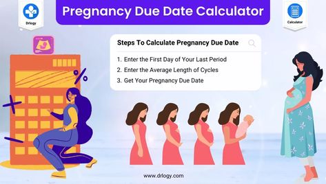 Best BMI Calculator to check Body Mass Index - Drlogy Pregnancy Due Date Calculator, Due Date Calculator, Conception Date, Bmi Calculator, Pregnancy Due Date, Body Fat Measurement, A Pregnant Woman, Unit Conversion, Menstrual Period