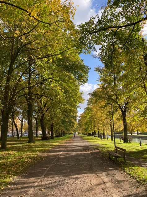 Scenic Walk Aesthetic, Walks In The Park, Sunrise Walk Aesthetic, Afternoon Walk Aesthetic, Long Walk Aesthetic, Spring Walk Aesthetic, Outdoor Walks Aesthetic, Walking Trail Aesthetic, Walk Backgrounds