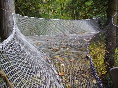 SMALL NETS | dreamnets Tensile Tree, Plastic Pond, Tree Hammock, Farm Dream, Pond Netting, Forest Games, Tree Fort, Garden Netting, Cool Tree Houses