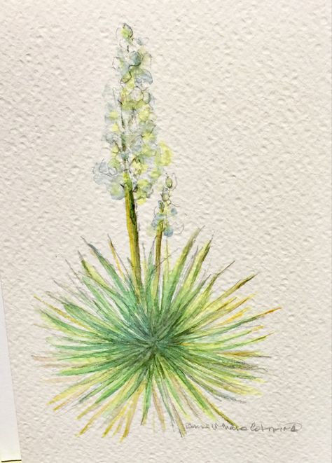 Yucca Plant Watercolor, Yucca Plant, Flower Sleeve, Painting Party, Paint Night, Watercolor Plants, Plant Painting, Southwest Art, Ceiling Tile