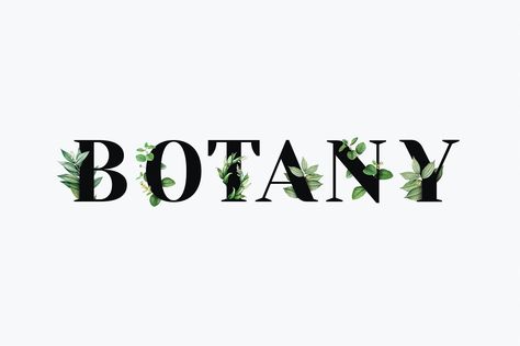 Botany Word Calligraphy, Botany Logo Design, Botany Wallpaper, Heading Design, Word Typography, Flower Typography, Botany Art, Plant Logos, Heading Fonts