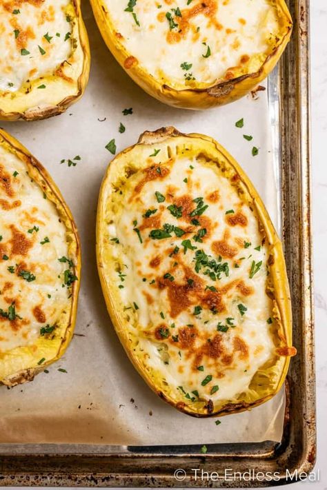 Tender strands of spaghetti-like squash are smothered in the creamiest alfredo sauce ever in this delicious spaghetti squash alfredo recipe. It offers a lighter, lower-calorie alternative to traditional pasta, but still brings decadence. Best of all, this boat of creamy comfort is also incredibly easy to prepare!  #theendlessmeal #spaghettisquash Spaghetti Squash Alfredo Recipes, Spagetti Squash Alfredo, Spaghetti Squash Recipes Chicken, Spaghetti Squash Chicken Alfredo, Spaghetti Squash Carbonara, Spaghetti Squash Alfredo, Squash Alfredo, Spaghetti Squash Pasta, Spaghetti Squash Boat