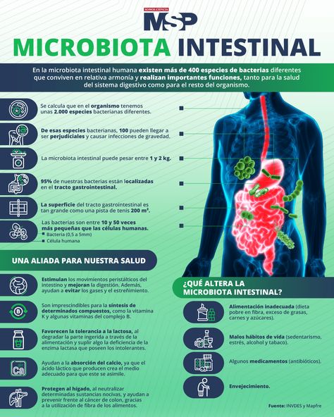 Microbiota Intestinal - Infografía Nutrition Education, Healthy Tips, Healthy Life, Human Body, Nutrition, Education, Human, Quick Saves