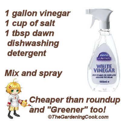 How to mix up a batch of greener, cheaper weed killer Have Inspiration, White Vinegar, Round Up, Lawn And Garden, Permaculture, Household Hacks, Lawn Care, Organic Gardening, Garden Projects