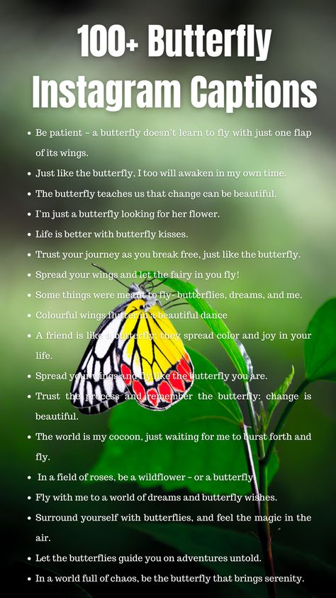 Butterfly Instagram Captions Caption For Butterfly Photo, Captions For Butterfly Pictures, Butterfly Captions Instagram, Butterfly Aesthetic Quotes, Captions For Instagram Cute, Captions For Selfies, Cute Short Quotes, Kindness Ideas, Short Captions