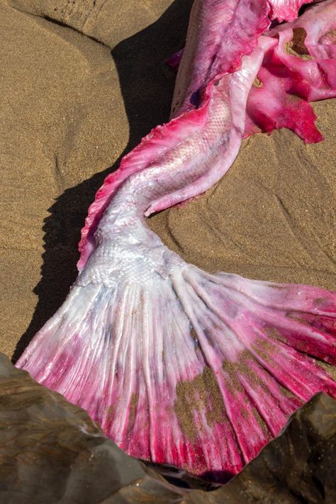 Barbie Mermaid Tale, Pink Mermaid Tail, Realistic Mermaid Tails, Barbie Mermaid, Professional Mermaid, Realistic Mermaid, Mermaid Stories, Mermaid Photography, Silicone Mermaid Tails