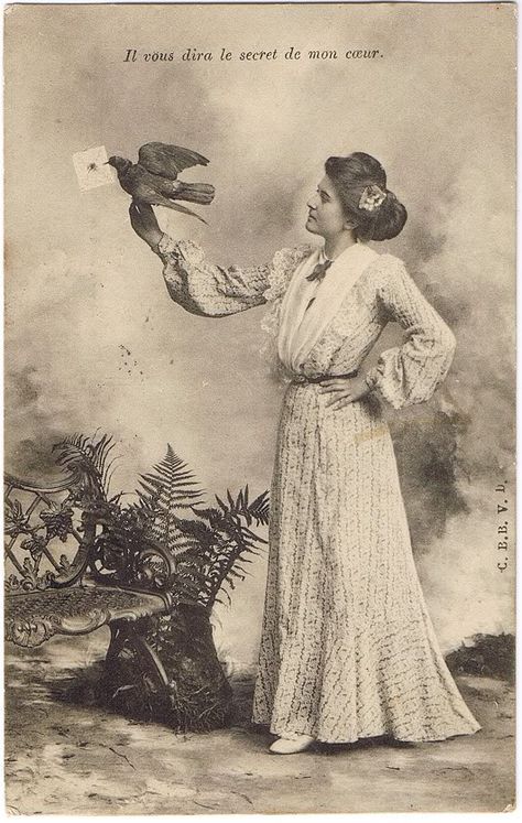 vintage woman  postcard 1904 lady with a carrier pigeon Aesthetic Pigeon, Pigeon Carrier, Pigeon Aesthetic, Memento Mori Victorian, Object Inspiration, Pigeon Post, Lady Picture, Carrier Pigeon, Pigeon Pictures