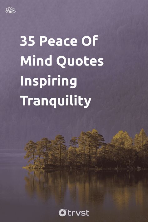 Seeking tranquility amid the hustle and bustle? Discover our handpicked Peace of Mind Quotes! 💡 Let these wise words inspire calmness, reigniting your resilience to the world's challenges. 🌍 Click for a boost of serenity, daily sanity sure to positively ripple through the world! 💫 #PeaceQuotes #InspirationalQuotes #Mindfulness #Tranquility #PersonalGrowth I Need Peace Quotes Feelings, Wishing Peace Quotes, Serenity Quotes Life, Quotes About Tranquility, Nature Calm Quotes, Quotes On Serenity, Quotes On Mindfulness, Peace And Serenity Quotes, Calm Life Quotes