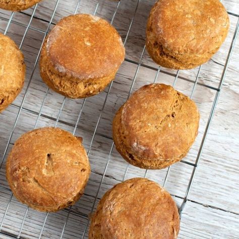 Mary Berry Treacle Scones Treacle Scones Recipe, Treacle Scones, Coconut Icing, Tray Bake Recipes, Toast In The Oven, Desiccated Coconut, Tray Bake, Custard Powder, Coconut Custard