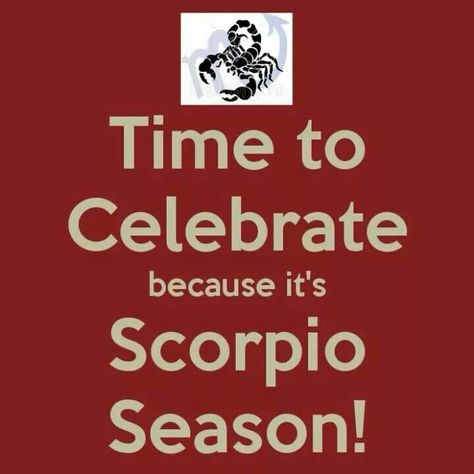 Time to celebrate because scorpio season is here Scorpio Season Is Here, Astrology Scorpio, Season Quotes, Scorpio Quotes, Scorpio Season, Time To Celebrate, Quote Aesthetic, Keep Calm, Astronomy