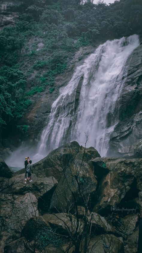 Wayanad Aesthetic, Wayanad Photography, Kerala Aesthetic, Manifestation 2024, Travel Video Ideas, Kerala Nature, Kerala Photography, Kerala Travel, Bts Christmas