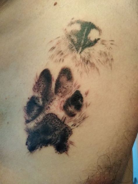 Paw Print And Nose Print Tattoo, Dog Nose And Paw Tattoo, Dog Nose Print Tattoo Ideas, Paw And Nose Print Tattoo, Cat Nose Print Tattoo, Nose Print Tattoo Dog, Nose Tattoo Ideas, Dog Print Tattoo Ideas, Pet Dog Tattoo