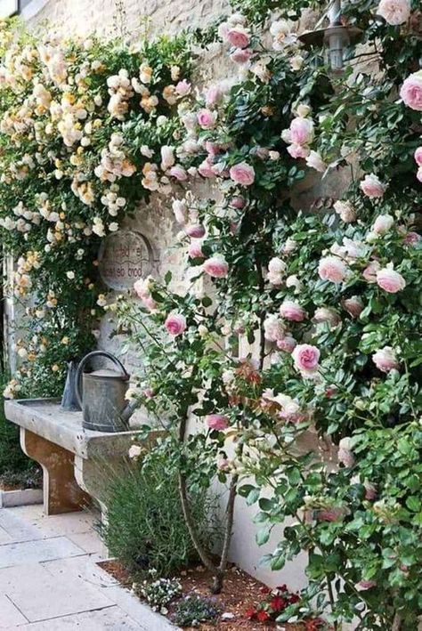 My Exterior Vision for a Cottage Inspired Home - MY CHIC OBSESSION Secret Garden Design, Courtyard Plants, Garden Decking, Rose Garden Design, Small Courtyard Gardens, Courtyard Gardens Design, نباتات منزلية, Enclosed Patio, Cottage Garden Design