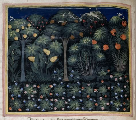 Heart and Mouth: Scott Hahn Reflects on the Eighth Sunday in Ordinary Time Medieval Garden, Tuscan Garden, Plant Study, Medieval Paintings, Medieval Life, Ancient Egyptian Art, Garden Painting, British Library, Egyptian Art