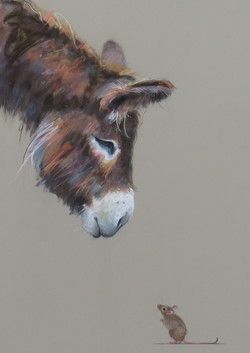 Nicky Litchfield, Donkey Drawing, Farm Animal Paintings, Farm Animal Painting, Donkey Art, Watercolor Paintings Of Animals, Cute Donkey, A Donkey, British Wildlife