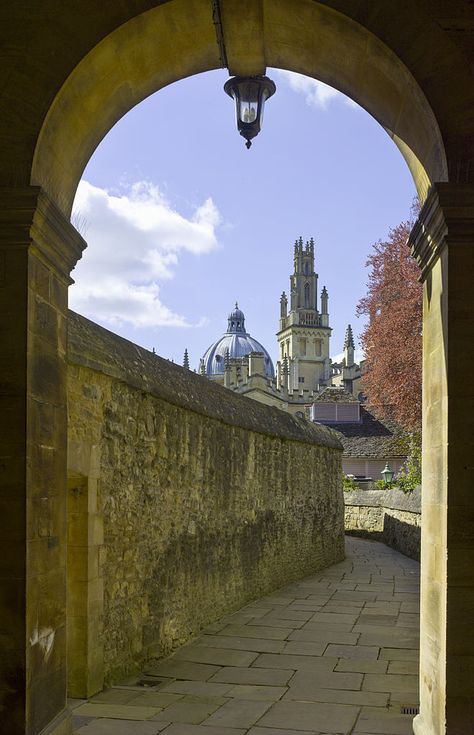 Queens College Oxford, University Ideas, Queens College, Oxford United Kingdom, Oxford City, Oxford England, New College, Autumn Colours, Live Forever