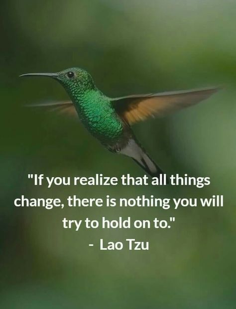 If you realize that all things change, there is nothing you will try to hold on to. - Lao Tzu Taoism Quotes, Lao Tzu Quotes, Live My Life, Zen Quotes, Motivation Positive, Quotes Beautiful, Buddhist Quotes, Lao Tzu, Philosophy Quotes