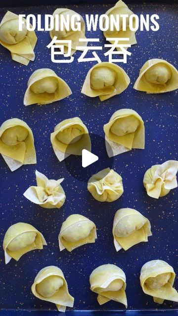 Wei Guo on Instagram: "6️⃣ Ways to Fold Wontons ☑️ . 🔎 Find more dumpling & wonton recipes on my blog (link in bio @red.house.spice ) . ❤️ #redhousespice #chinesecooking ." How To Cook Wonton Wrappers, How To Fold A Wonton, Cabbage Wontons, Boiled Wontons, How To Fold Wontons For Soup, Sichuan Wontons, Wonton Recipes, Wontons, How To Fold