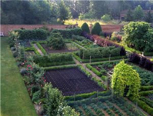 French Cottage Garden, Vegtable Garden, Vege Garden, Backyard Garden Layout, Gardening Inspiration, Potager Garden, Veg Garden, Home Vegetable Garden, Vegetable Garden Design