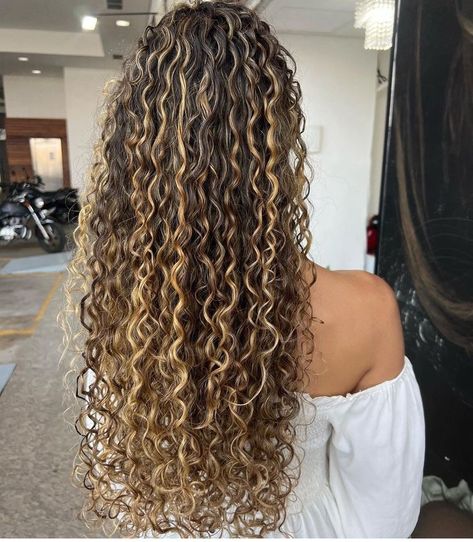 Curly Blonde Highlights Curls, Highlight Honey Blonde Hair, Balayage On Brown Curly Hair, Honey Blonde Balayage On Dark Hair Curly, Honey Blonde Highlights On Brown Hair Curly, Naturally Curly Highlights, Honey Highlights On Curly Hair, Full Highlights Curly Hair, Blonde Highlights On Black Hair Curly