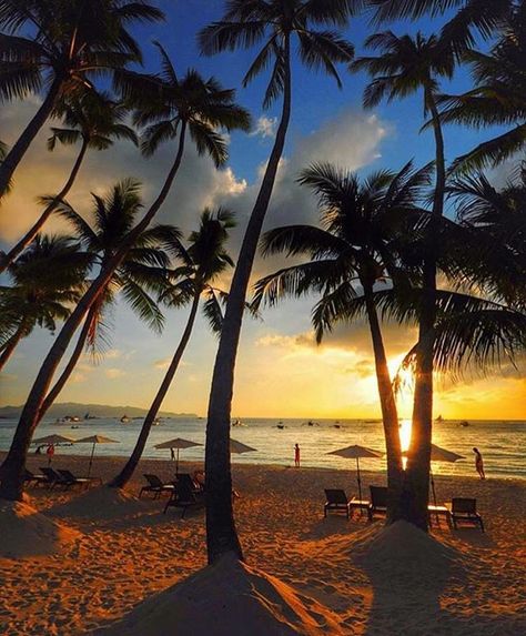 Sunset in Boracay - Philippines 🌴🌴🌴 Credits ✨@warrencamitan✨ . #beachesnresorts for a feature 🌴 Philippine Holidays, Boracay Philippines, Beach Instagram Pictures, Boracay Island, Philippines Travel, Sun Sets, Boracay, Sunset Photos, Beach Hotels