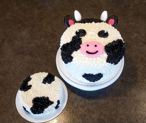 Cow cake and smash cake Smash Cake Cow Print, Cow Cake First Birthday, Cow Smash Cake First Birthdays, Cow Cake Smash 1st Birthdays, Diy Cow Smash Cake, Cow Birthday Smash Cake, Cow Print Smash Cake Girl, Cow Themed Smash Cake, Simple Cow Cake