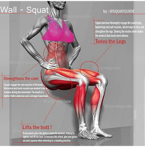 Wall sits Wall Squats, Different Squats, Types Of Squats, Wall Sit, Wall Squat, Fit People, Wellness Challenge, Winter Wellness, Yoga Anatomy