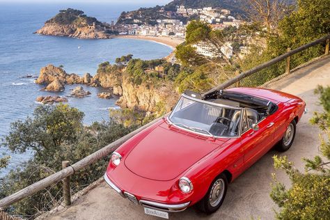 What a view! 😎 www.BookAclassic.com #BookAclassic #classiccar #carlovers #lovecars #luxurycars #supercars #weddingcar #vintagecar #oldtimer #youngtimer #prewarcar #wedding #AlfaRomeo Alfa Romeo Spider Duetto, Car Moodboard, Alfa Romeo 1750, Alfa Romeo Giulia Quadrifoglio, Bike And Car, Truck Pics, Alfa Romeo 8c, Vintage Spider, Alfa Romeo Spider