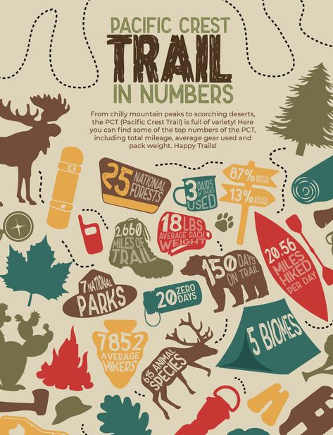 Camping Infographic, Hiking Infographic, Northern Lights Decorations, Pct Trail, Mountain Branding, Pacific Coast Trail, Hiking Party, Stick Season, Lights Decorations