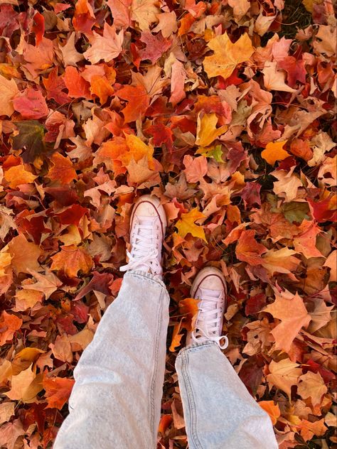 Raking Leaves Aesthetic, Fall Leaves Photoshoot, Jumping In Leaves, Fall Leaves Aesthetic, Youtube Profile, Leaves Aesthetic, Raking Leaves, Fall Ball, Favourite Season